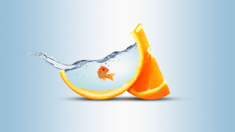 2264230-1920x1080-funny-fish-orange2