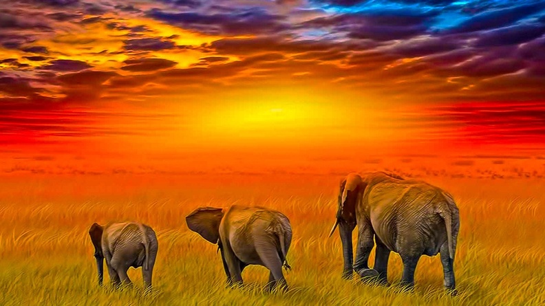 2610150-1920x1080-African-Sunset-Animales-Elephants-Art-Wallpaper-HD-for-desktop-1920x1080