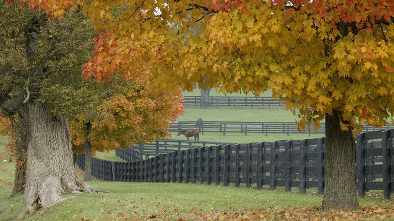 00288 horsefarm 2560x1600