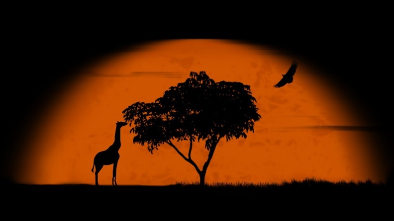 sun trees africa giraffes desktop 1680x1050 hd-wallpaper-1092533