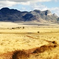 Near Patagonia, Arizona 1990