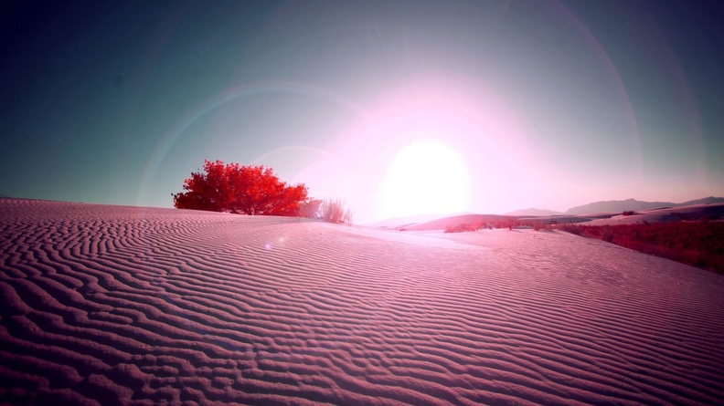 desert flare-natural landscape HD wallpaper 2560x1600