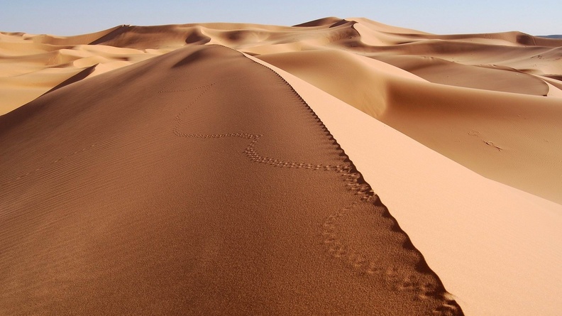 sand sea-natural landscape HD wallpaper 1920x1200