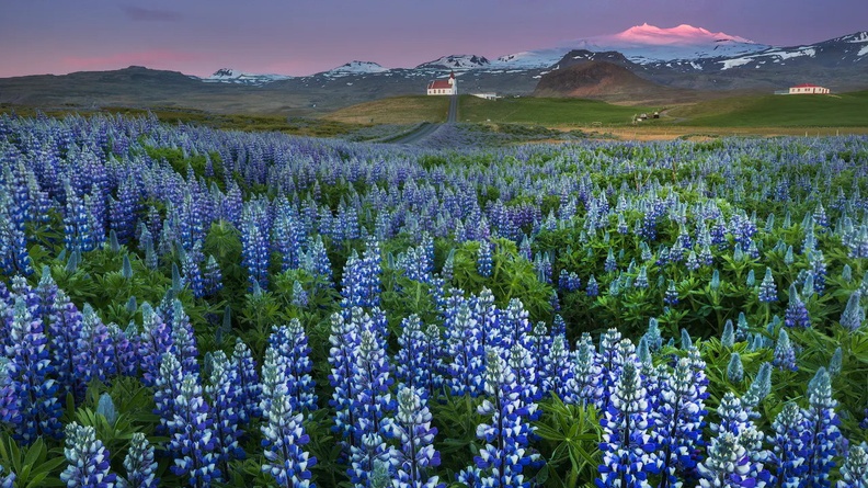 summer-photos-from-iceland-1