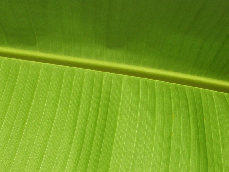img8